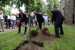  Zum 20-jährigen Bestehen der Städtepartnerschaften pflanzen die Bürgermeister von Slawno, Rinteln und Kendal am Kollegienplatz 2012 Bäume. Foto: tol
