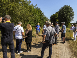 Bildergalerie Städtepartnerschaften und Altstadtfest 2026
