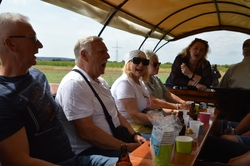 Bildergalerie Städtepartnerschaften und Altstadtfest 2026