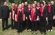 Der Gospelchor "Joyful Voices" aus Deckbergen. Foto: pr